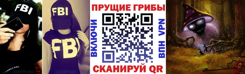 маркетплейс Telegram  Александровское  Псилоцибиновые грибы Magic Shrooms 